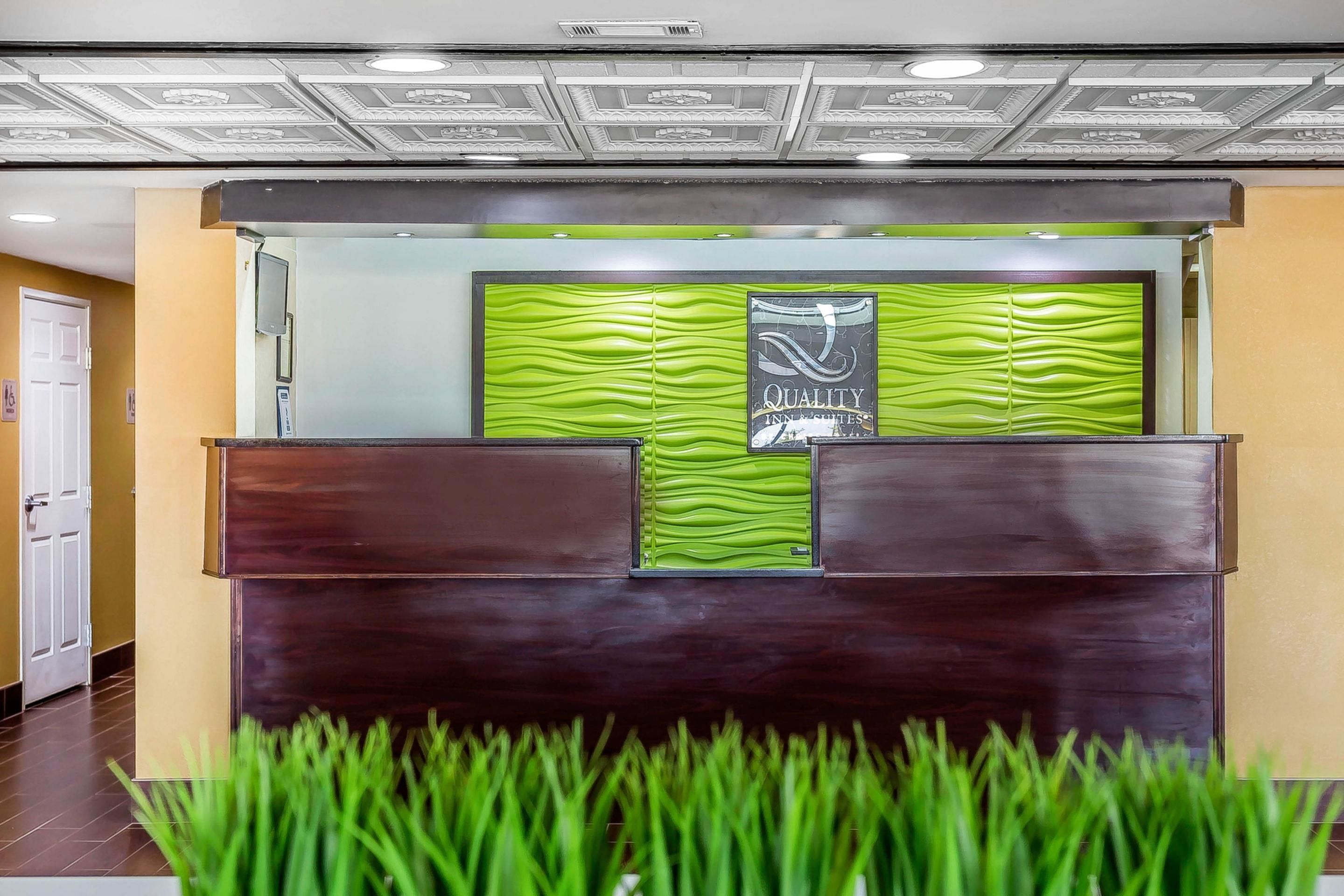 A reception area with a green textured wall, a wooden reception desk, and a ceiling with a decorative pattern.