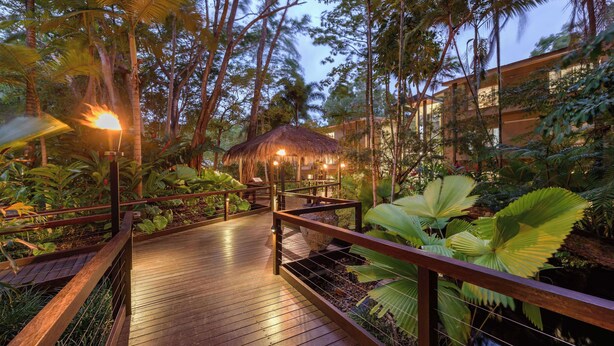 Un sentier en bois mène à une construction à toit de chaume, entourée d’une végétation tropicale luxuriante.