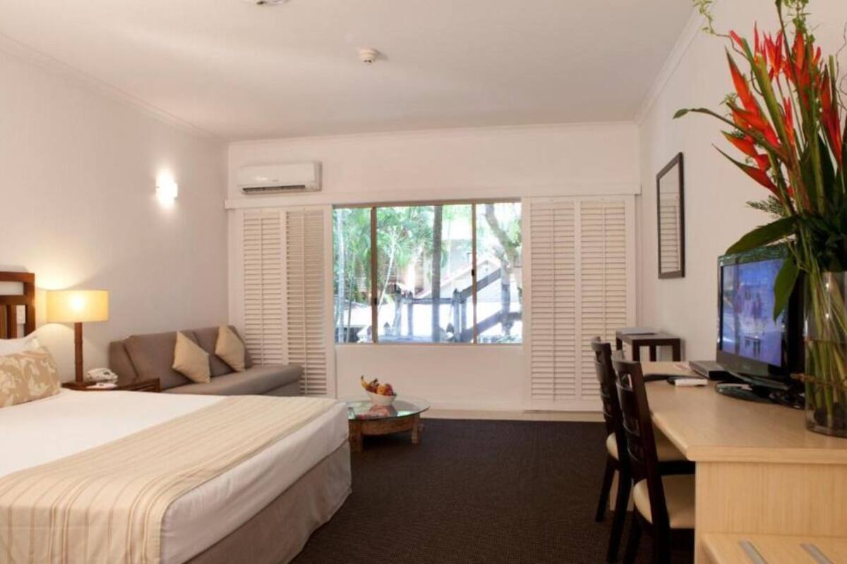Habitación de hotel con cama, escritorio, televisor, ventana con persianas y una planta.
