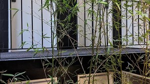 A room with bamboo plants in the foreground and a digital clock displaying 14:00. - SoYa on Davis Apartment Hotel (South Yarra)