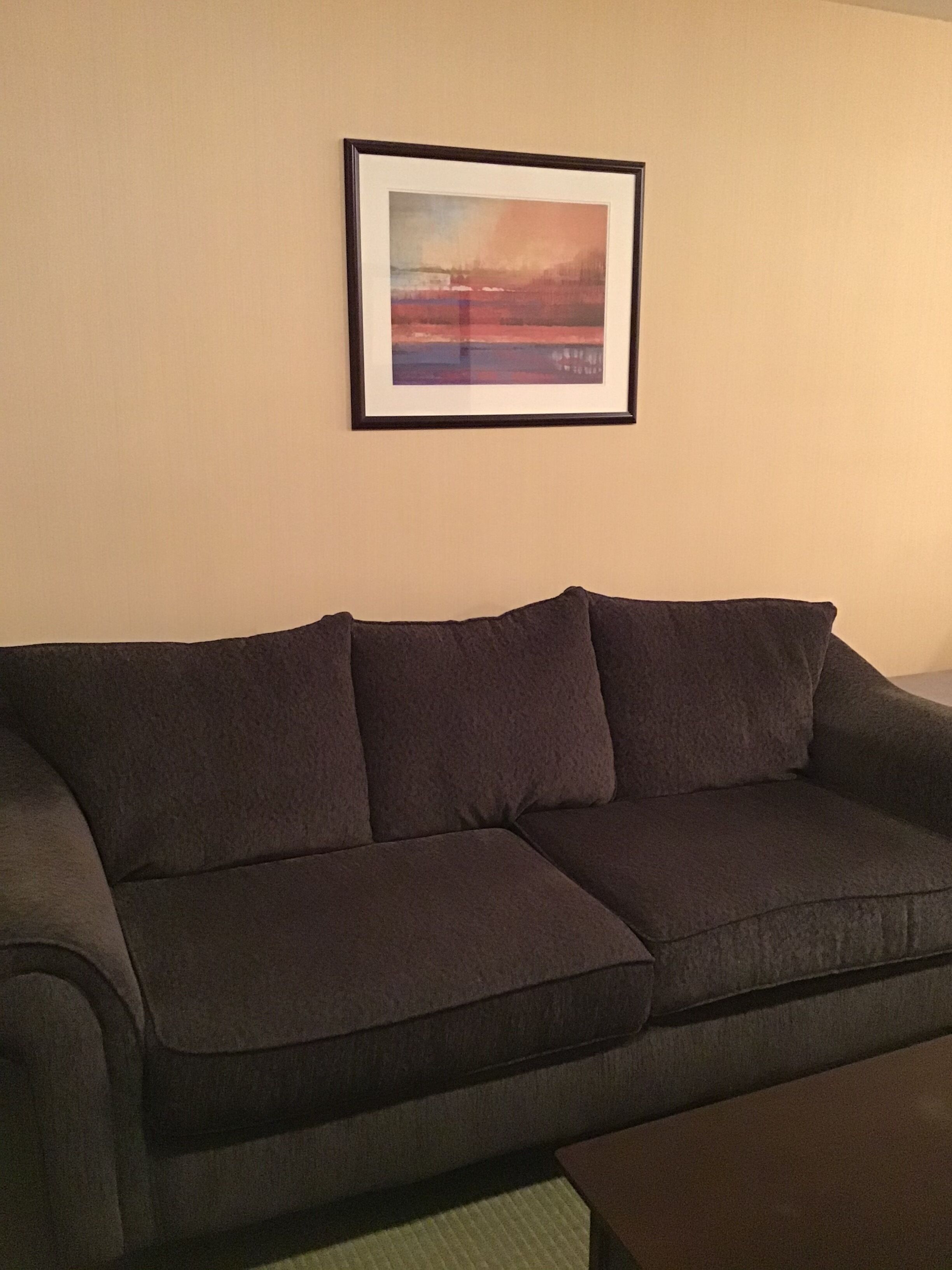 A dark-colored sofa against a plain wall with a framed picture above it.