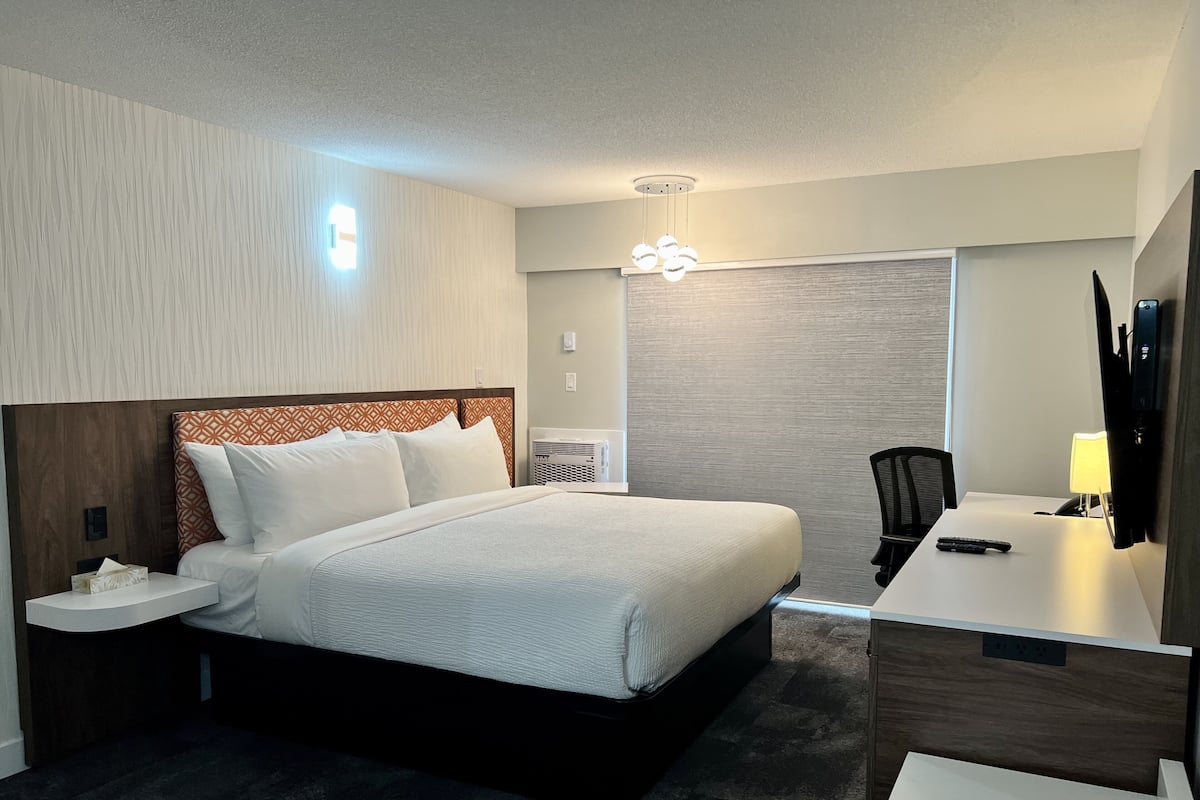 Premium bedding, individually decorated, individually furnished, desk