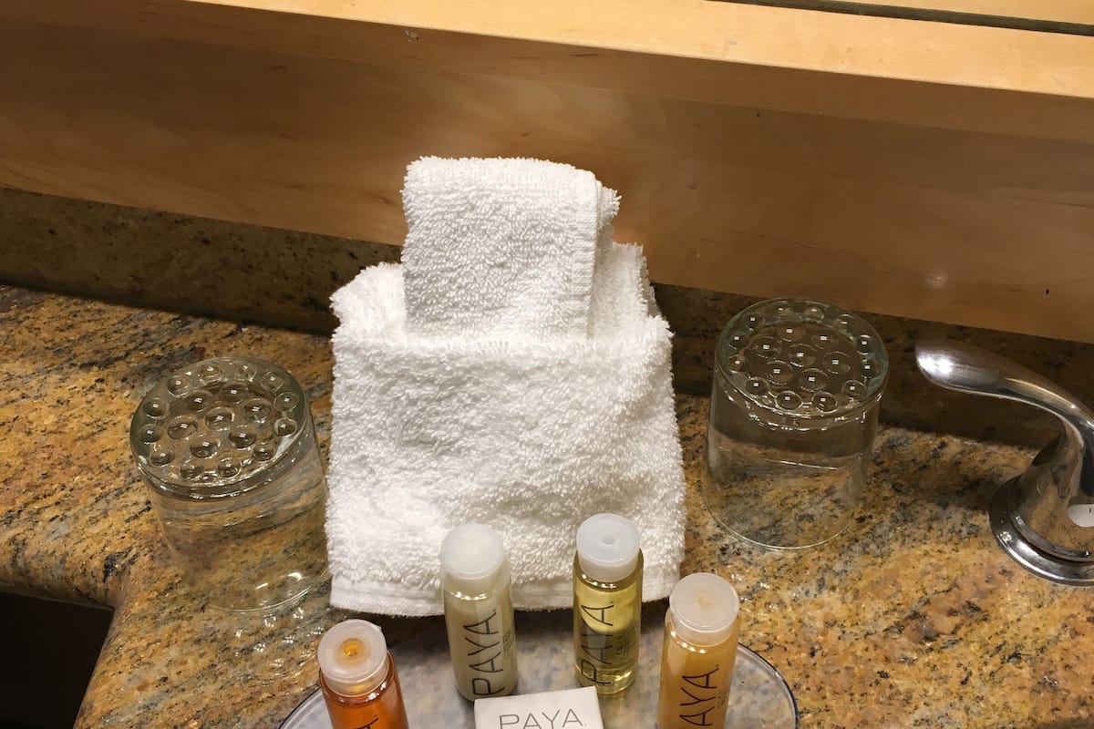 combined shower/bathtub, free toiletries, hair dryer, towels