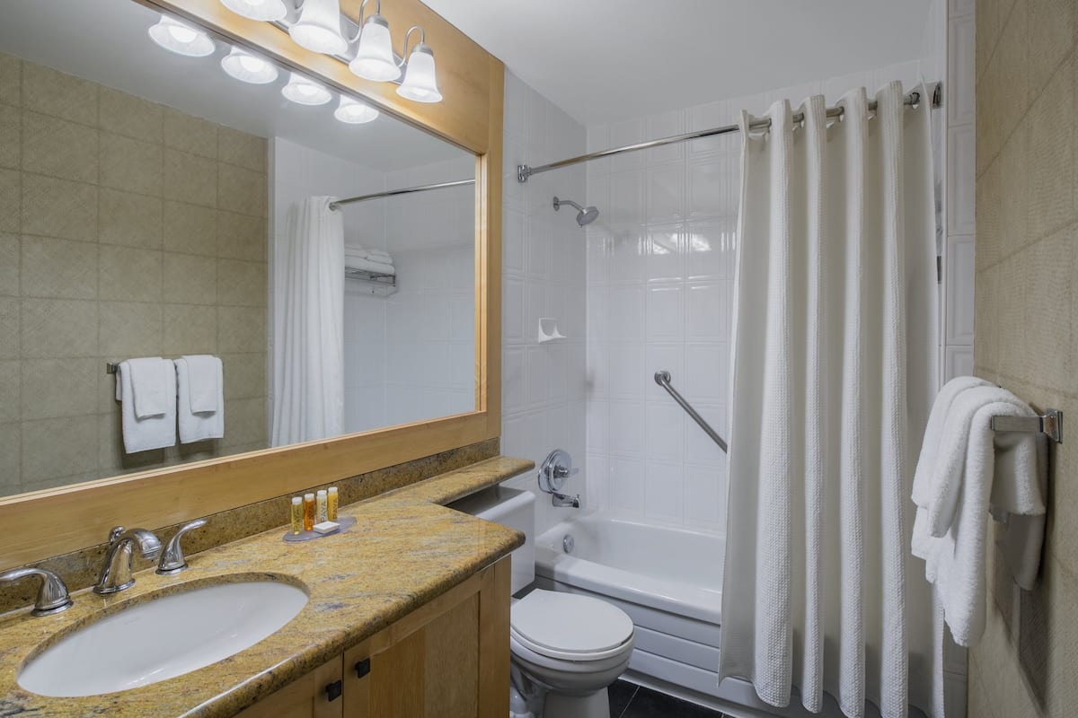 combined shower/bathtub, free toiletries, hair dryer, towels