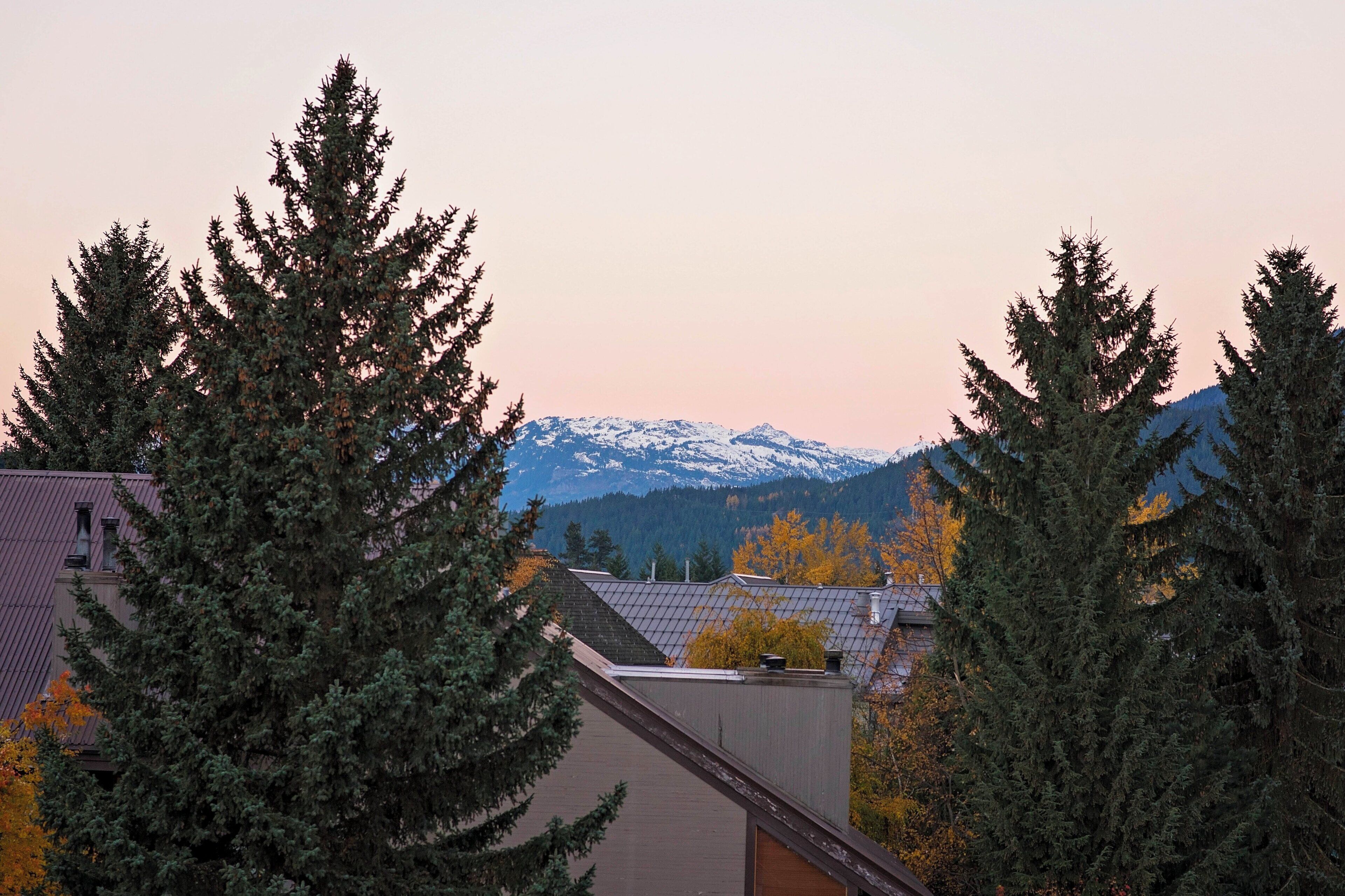 A residential area with snow-capped mountains in the background, surrounded by evergreen trees.