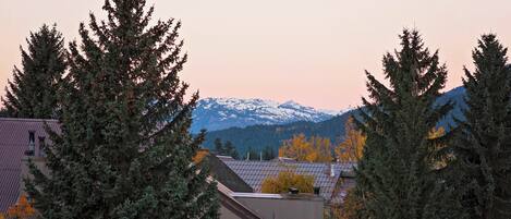 A residential area with snow-capped mountains in the background, surrounded by evergreen trees.