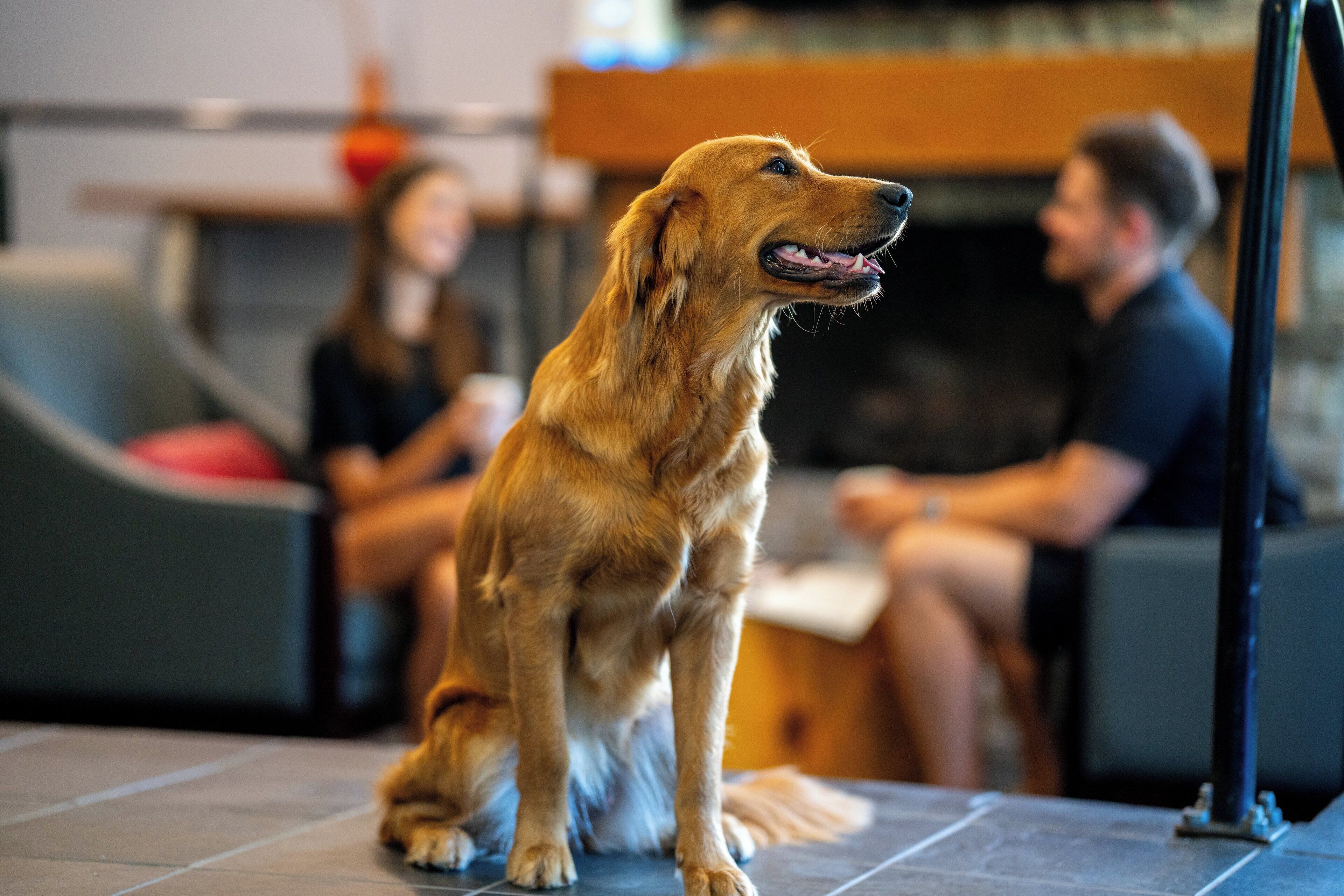 Photo - Whistler Village Inn & Suites