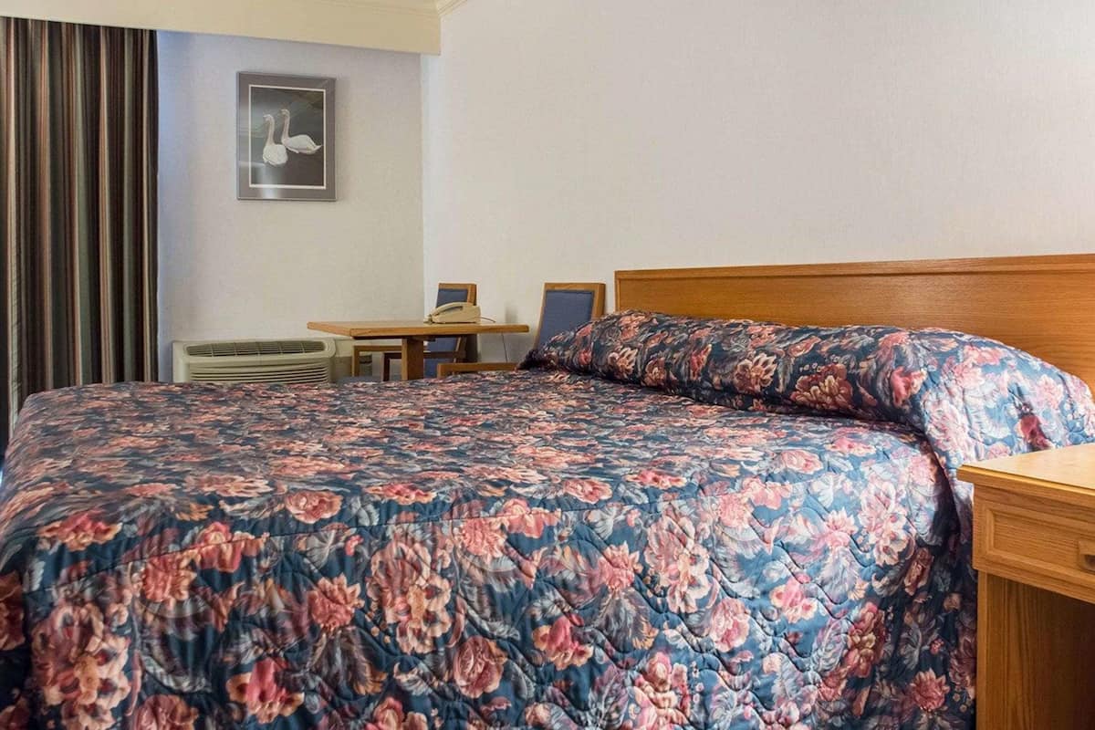 Habitación, 1 cama King size, para no fumadores | Escritorio, tabla de planchar con plancha y cunas gratuitas 