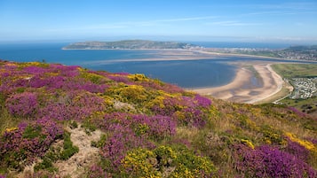Paisaje costero con flores moradas y amarillas, una playa arenosa y vista al mar y a un pueblo lejano.