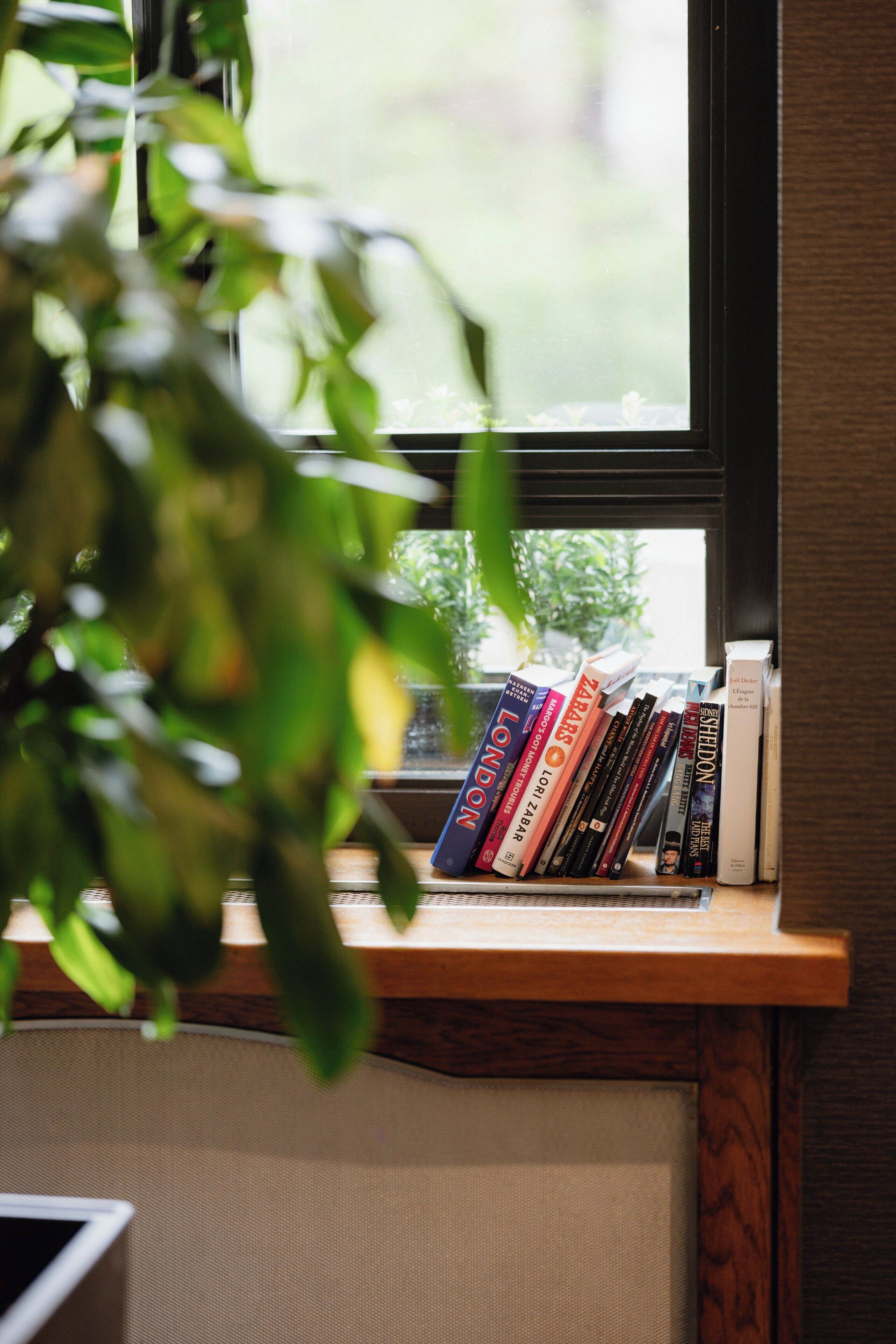 A bookshelf with books, a window, and a plant.