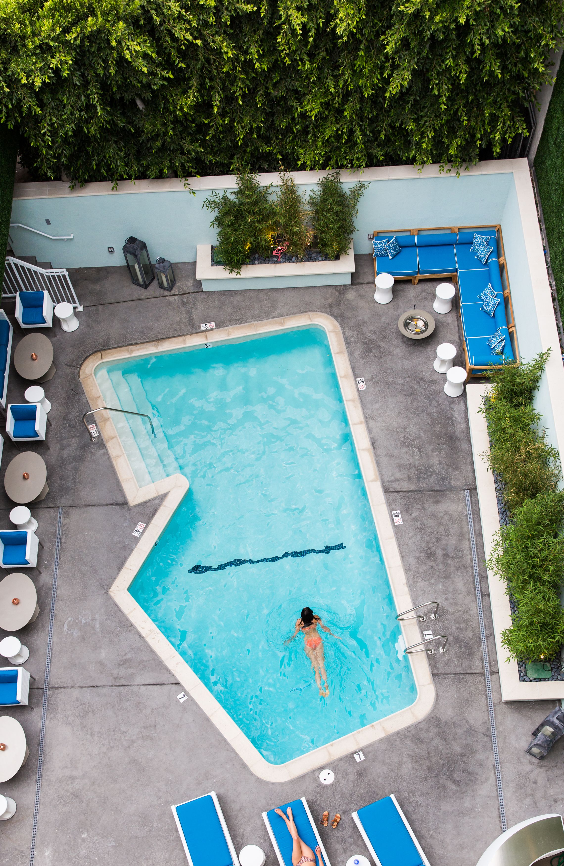 Photo - The Hotel Lili