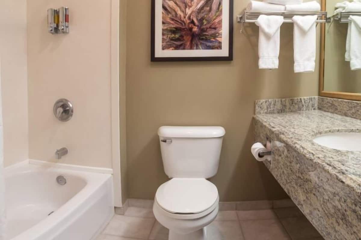 A bathroom with a bathtub, toilet, and granite countertop.