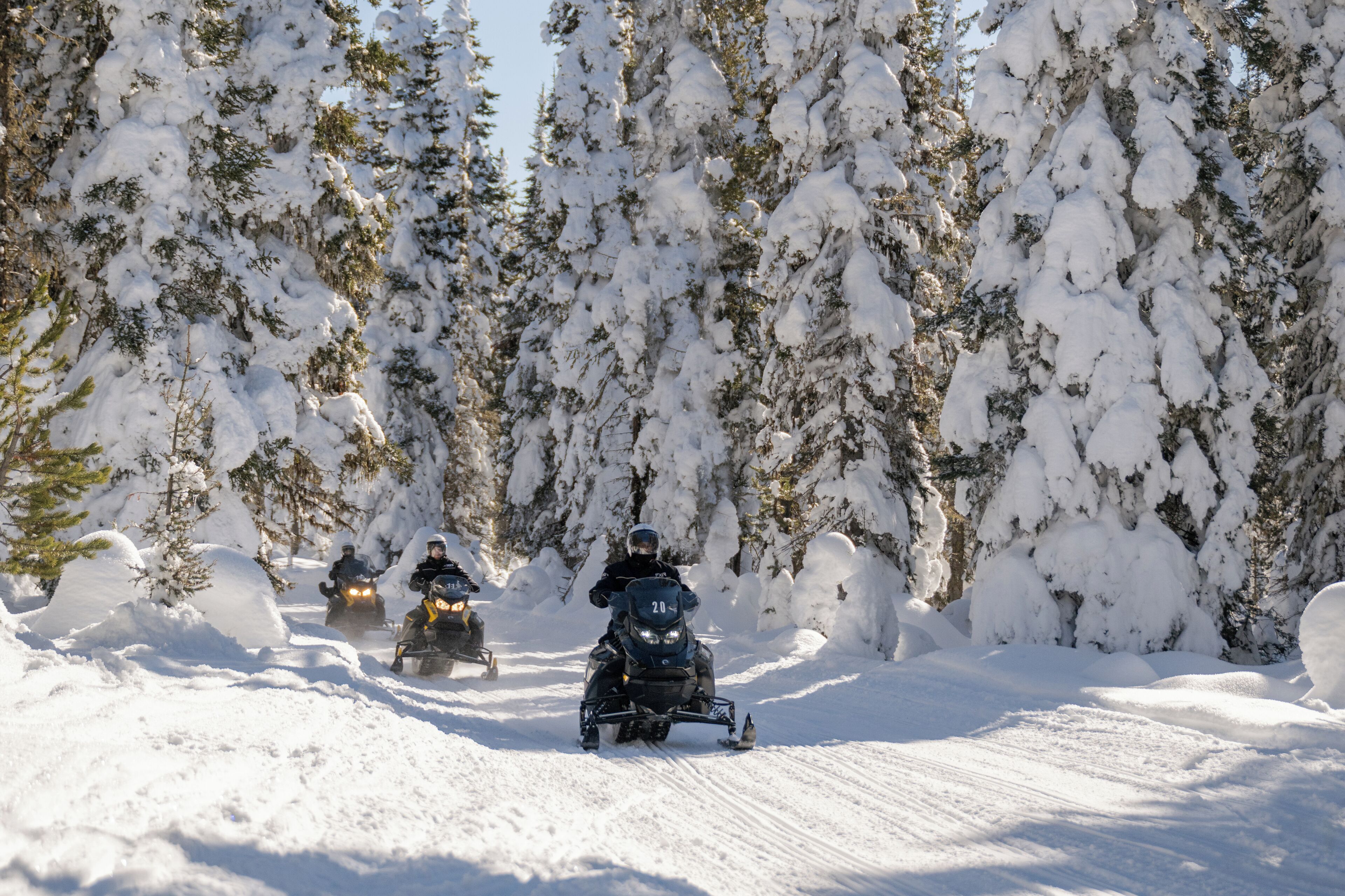 Foto - Gray Wolf Inn & Suites