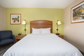 Room, 1 Double Bed, Non Smoking