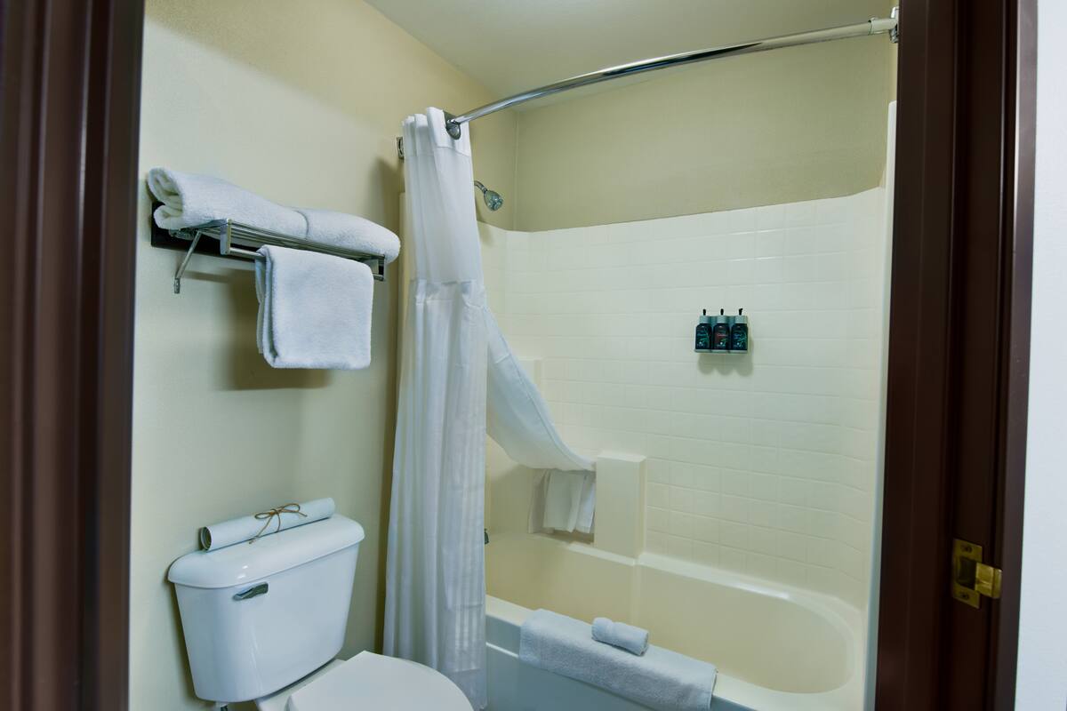 combined shower/bathtub, free toiletries, hair dryer, towels