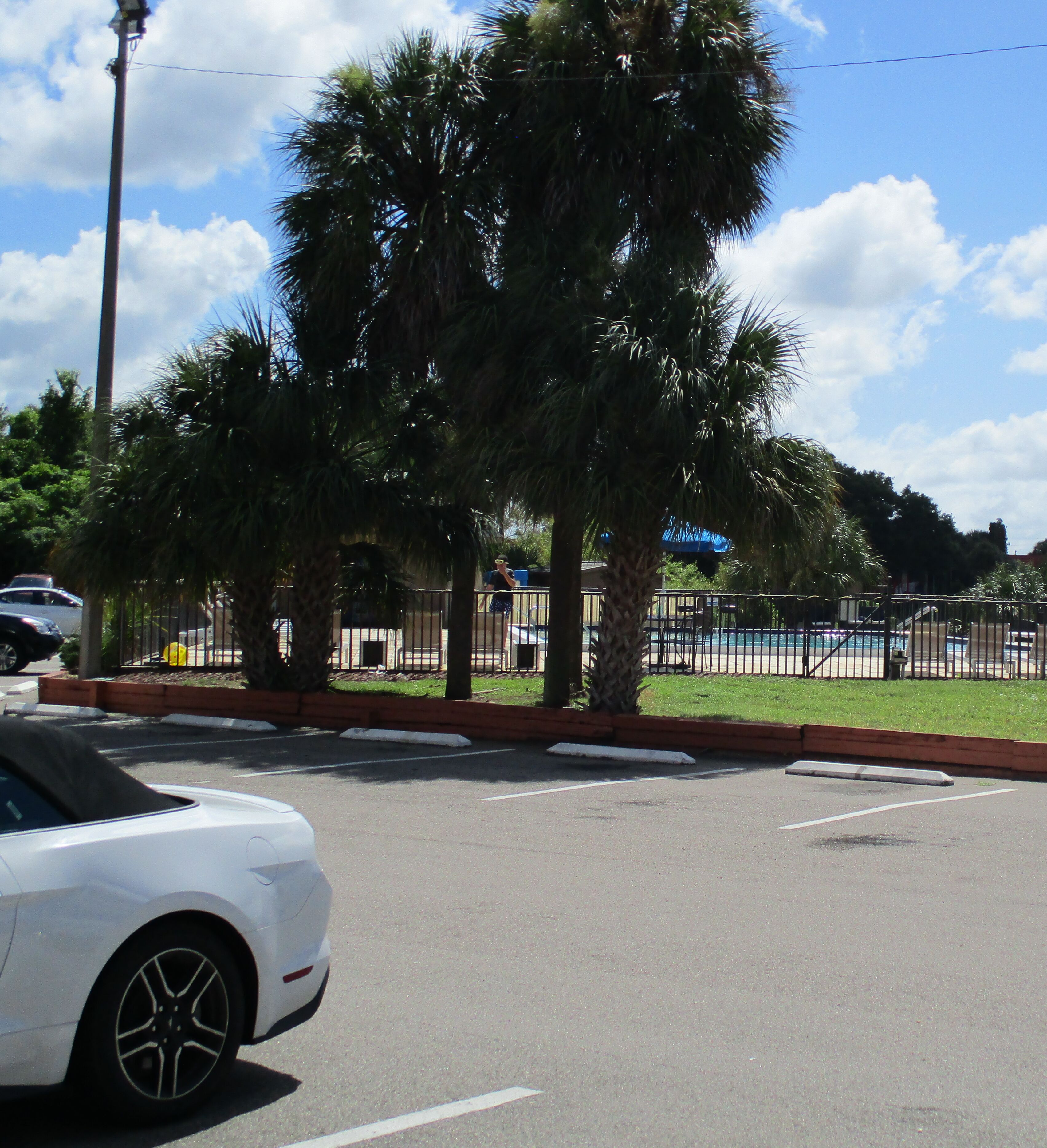 Photo - Quality Inn & Suites Kissimmee near Main Gate