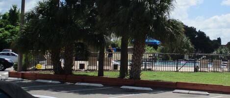 Un pàrquing amb un cotxe blanc, una zona de piscina tancada per una tanca i palmeres.