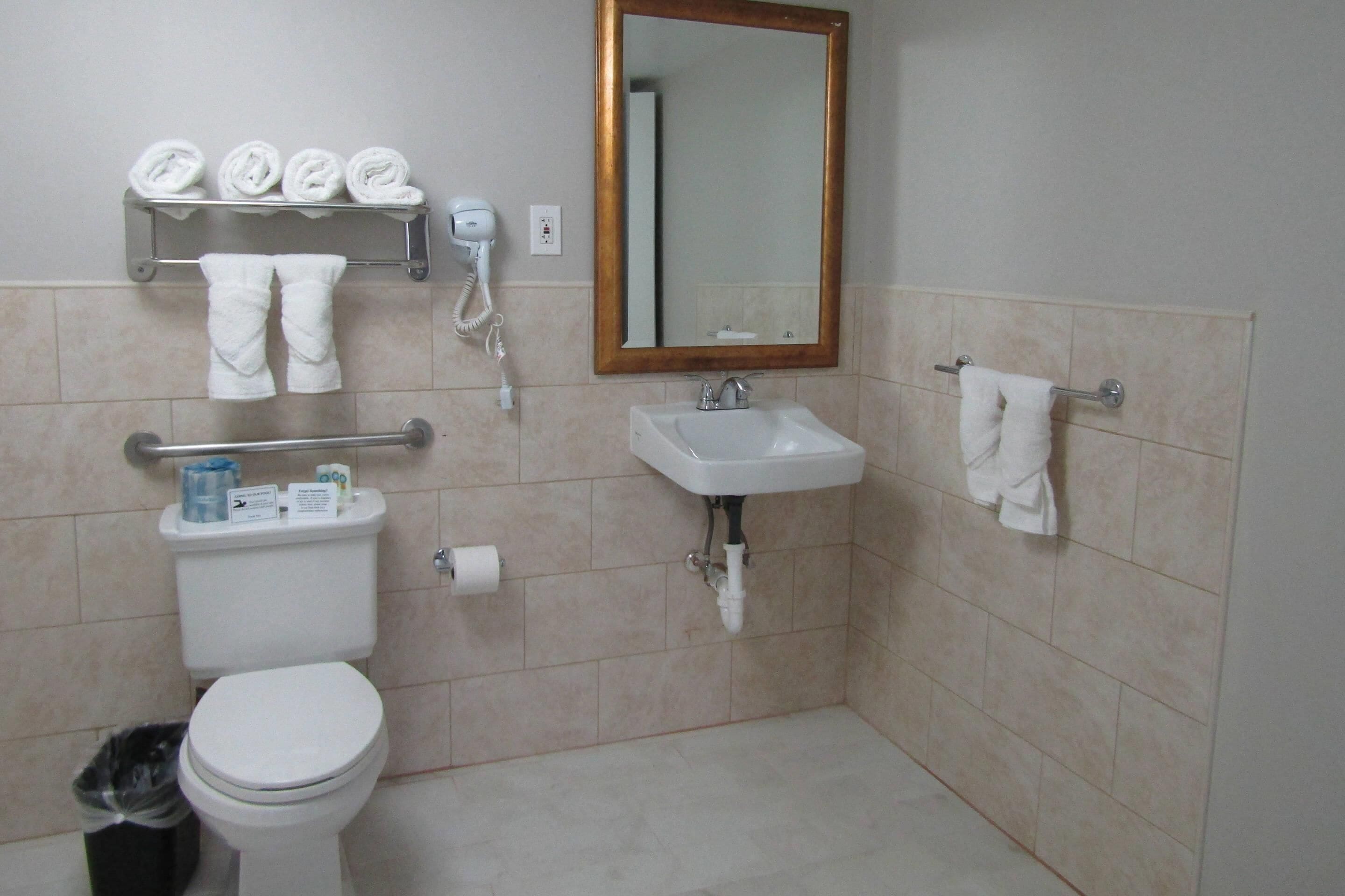 A bathroom with a toilet, sink, towel rack, and a hairdryer.