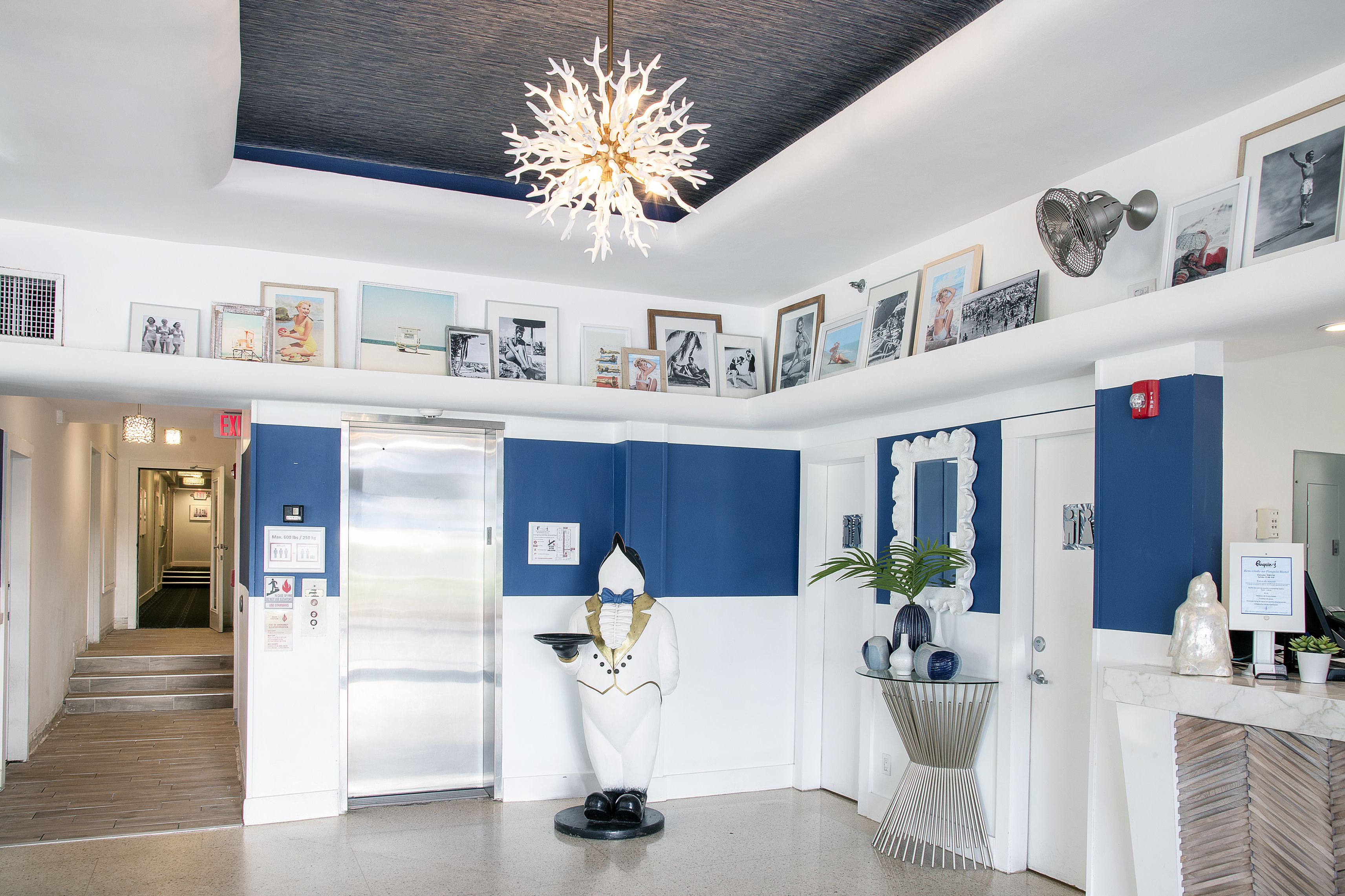 Photo - Penguin Hotel