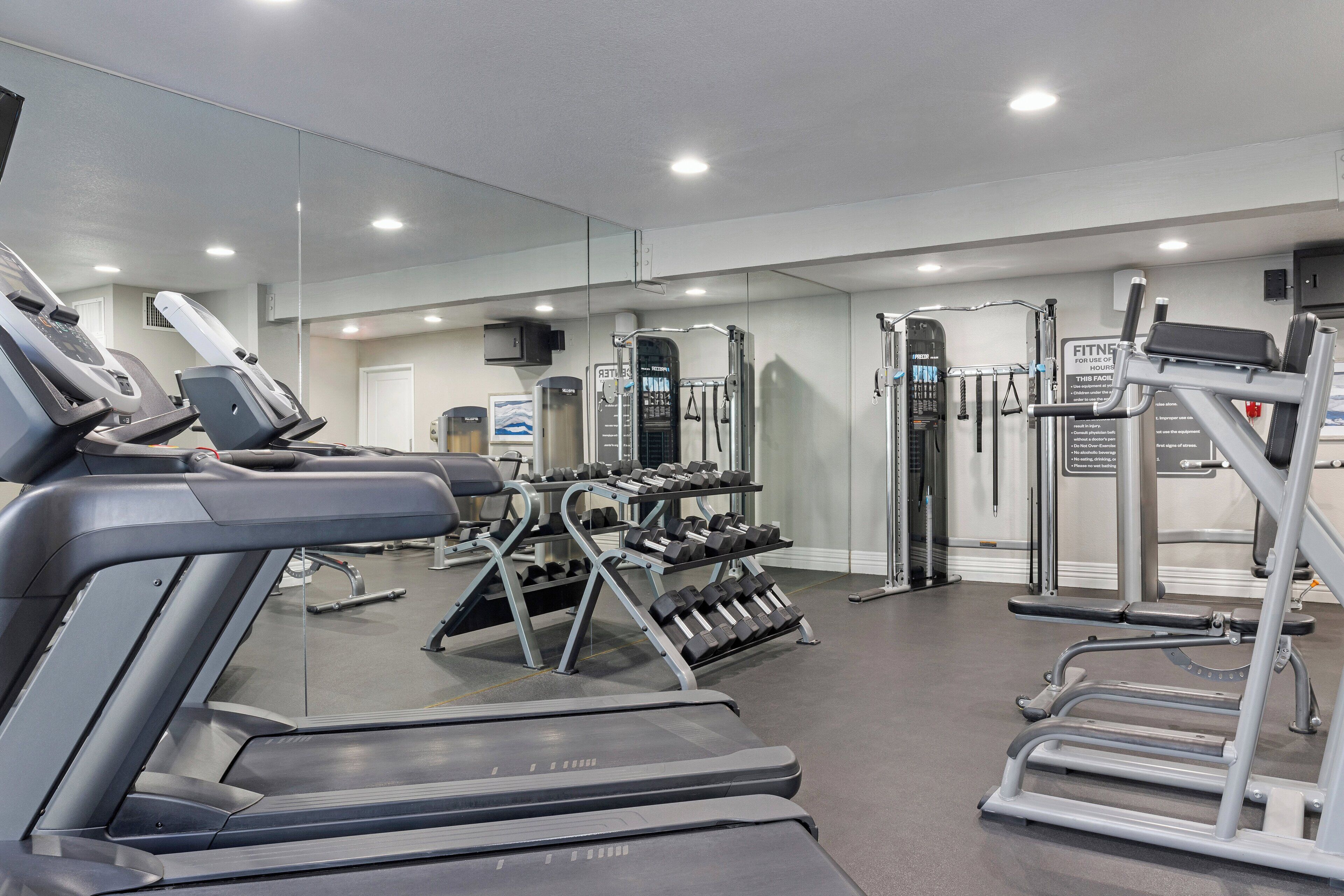 Un gimnasio moderno con cintas de correr, máquinas de pesas y mancuernas.