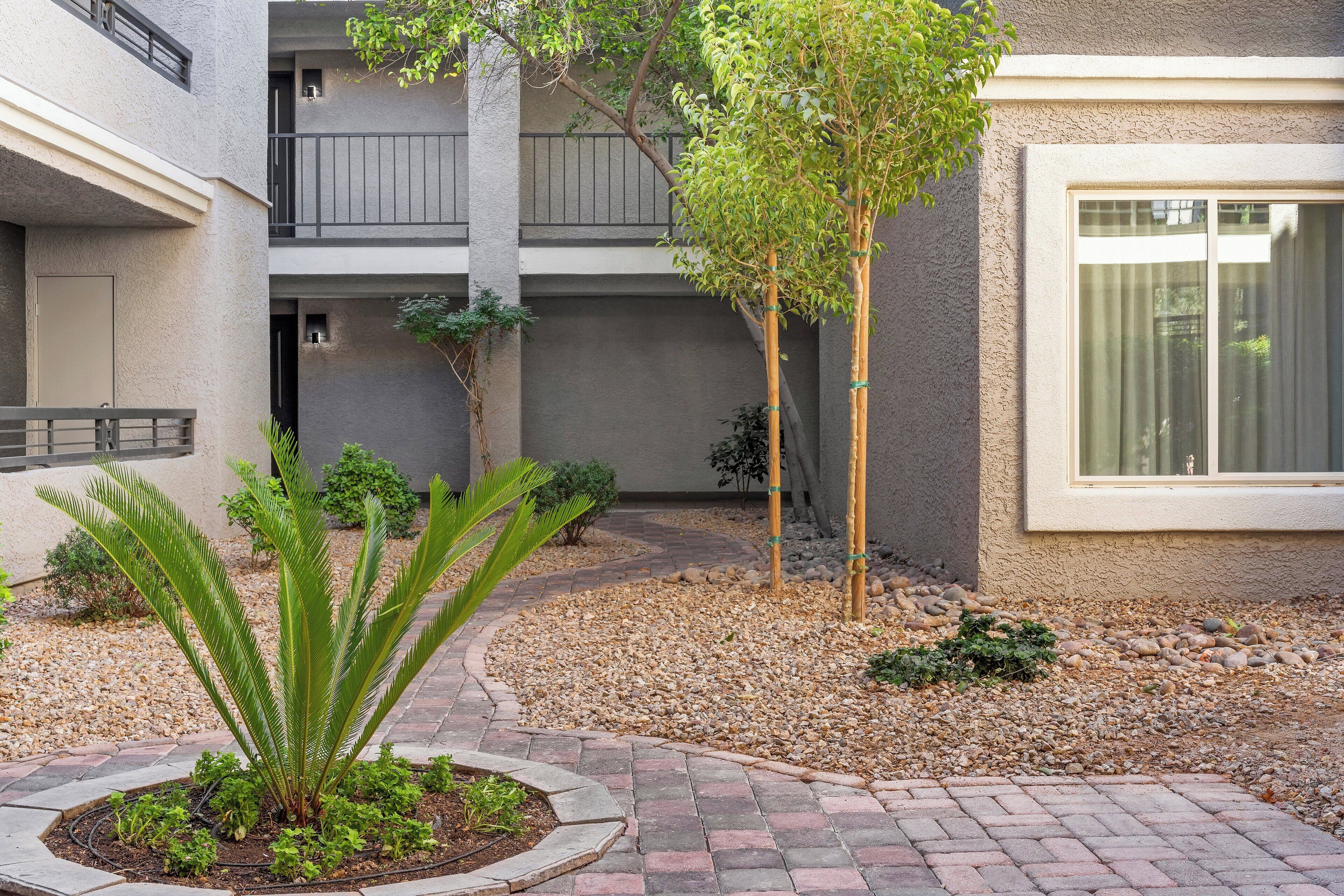 A courtyard with a palm tree, a bamboo tree, and a small garden area with pebbles and plants.