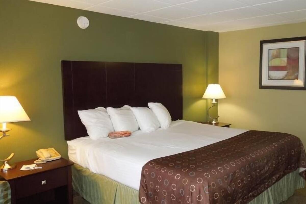 A hotel room with a bed, two bedside lamps, a telephone, and a framed picture on the wall.