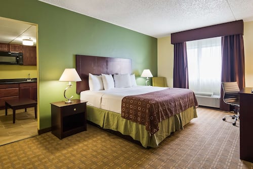 Suite, 1 King Bed, Non Smoking, Kitchenette (with Sofabed)