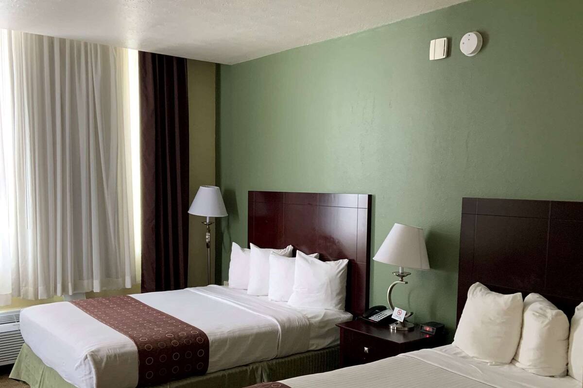 A hotel room with two beds, a nightstand with a phone and lamp, a window with curtains, and a green wall.