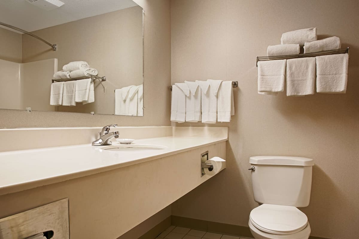 free toiletries, hair dryer, towels