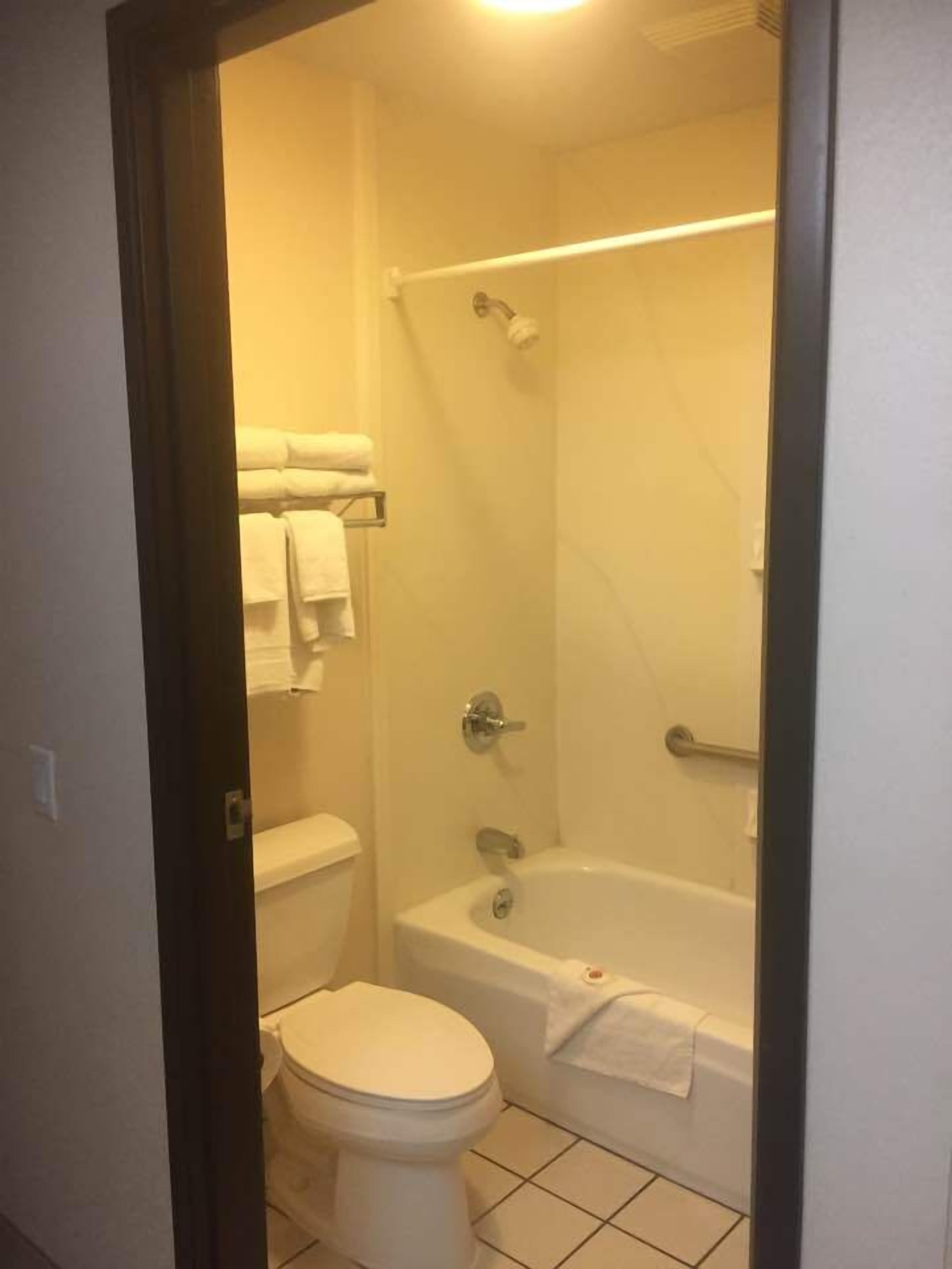 combined shower/bathtub, free toiletries, hair dryer, towels