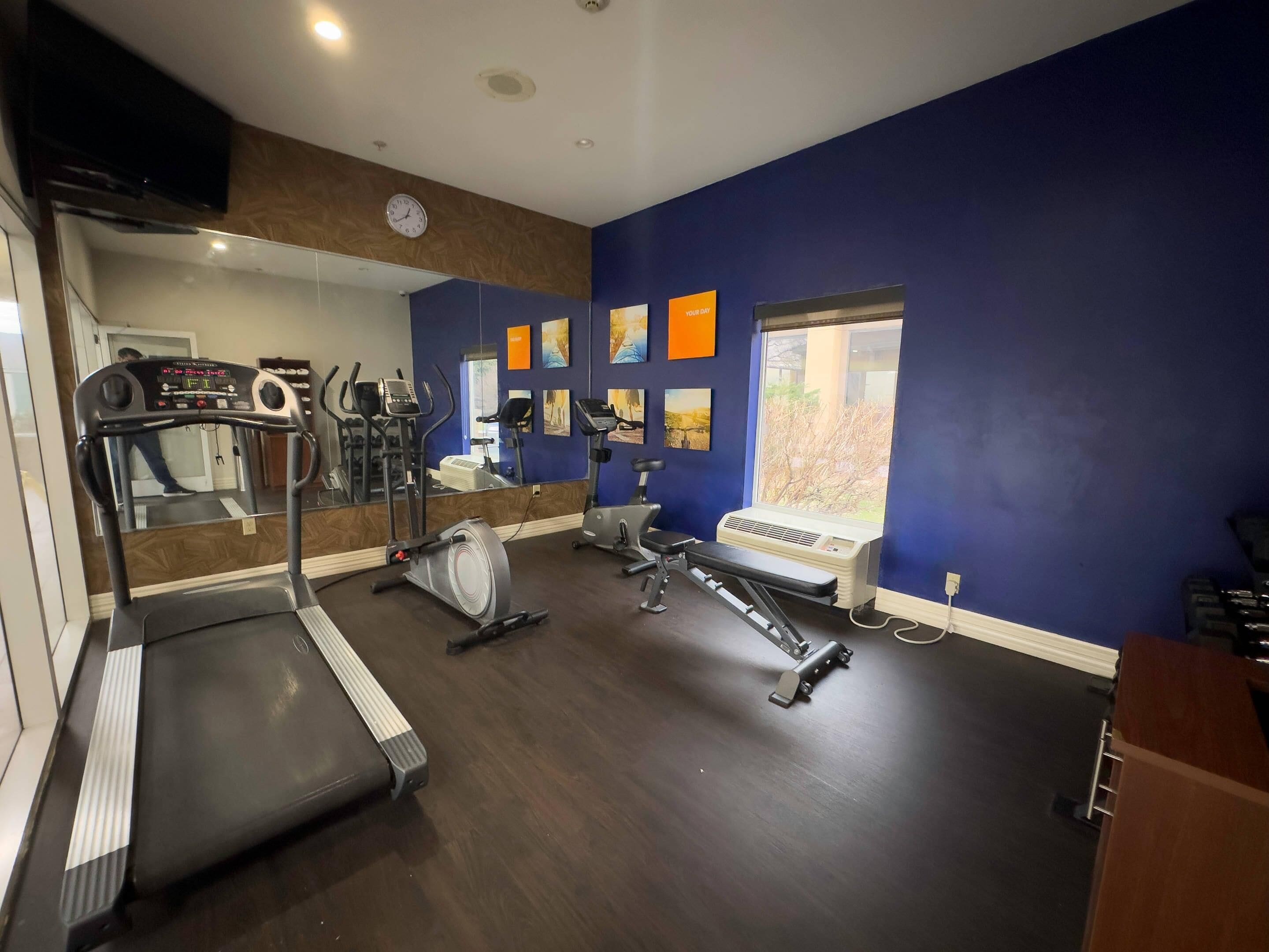 Een sportschool met loopbanden, elliptische trainers en een hometrainer, met een grote spiegel, kunst aan de wanden en een raam met uitzicht.