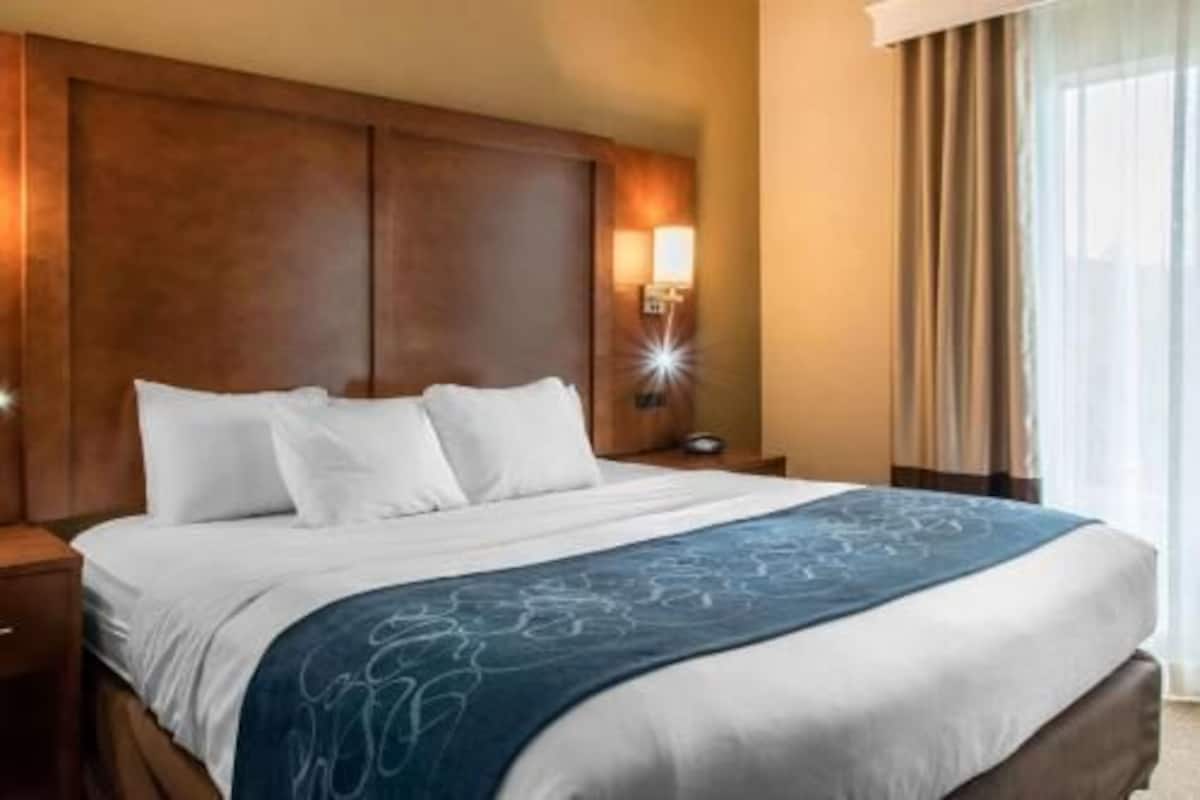 Hypo-allergenic bedding, down comforters, desk, laptop workspace