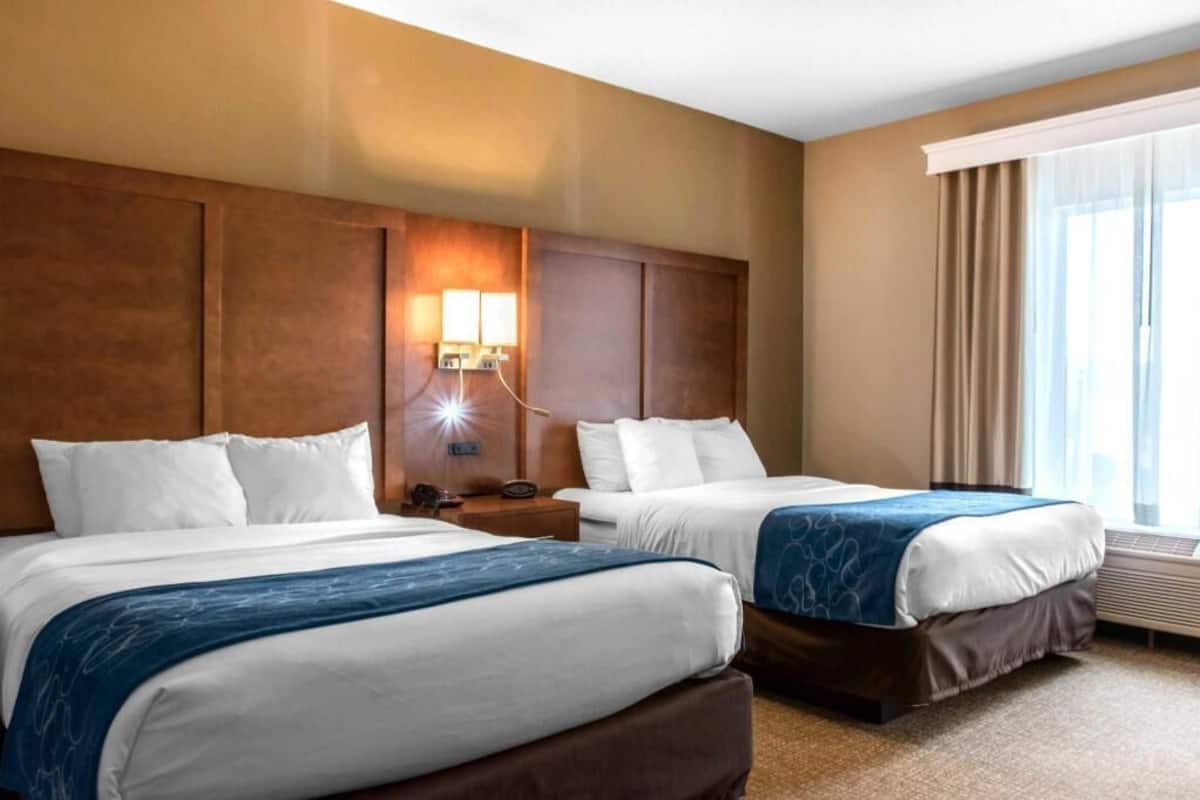 Hypo-allergenic bedding, down comforters, desk, laptop workspace