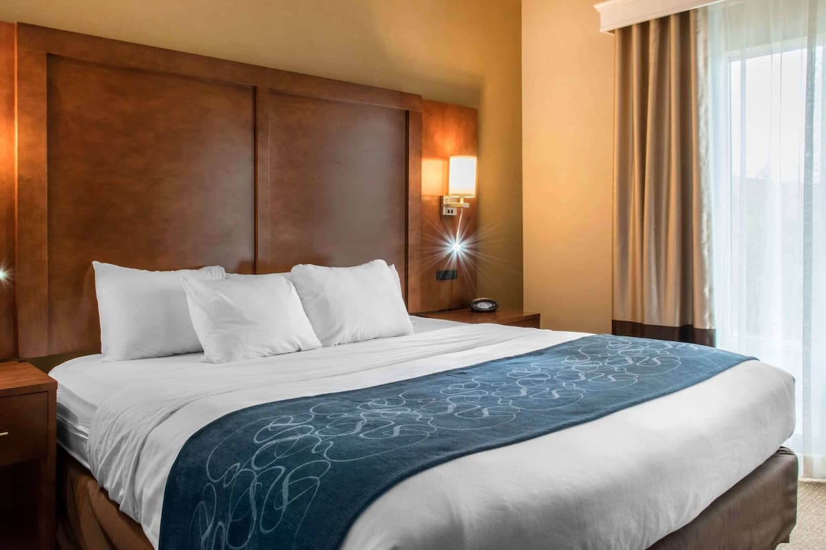 Hypo-allergenic bedding, down comforters, desk, laptop workspace
