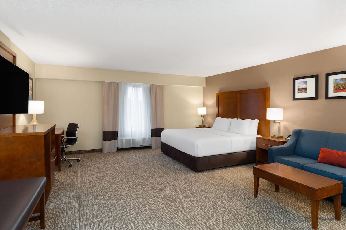 Deluxe Studio Suite, 1 King Bed, Non Smoking | Desk, laptop workspace, blackout drapes, iron/ironing board