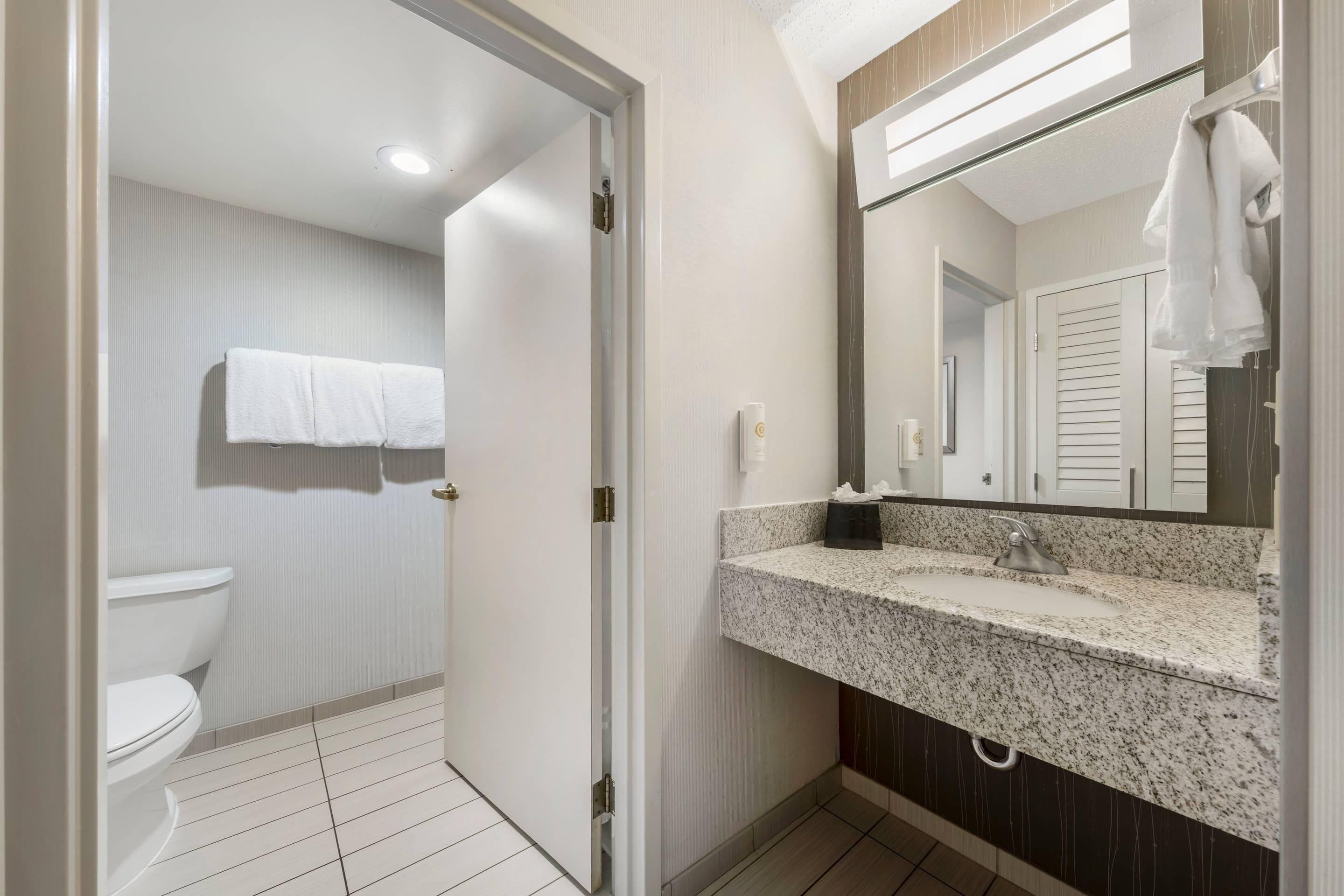 A bathroom with a toilet, a sink with a granite countertop, and a mirror with a towel hanging on the wall.