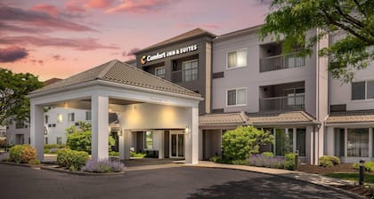 Comfort Inn & Suites Bethlehem Lehigh Valley Airport