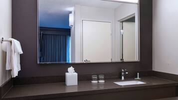 Combined shower/bathtub, free toiletries, hair dryer, towels