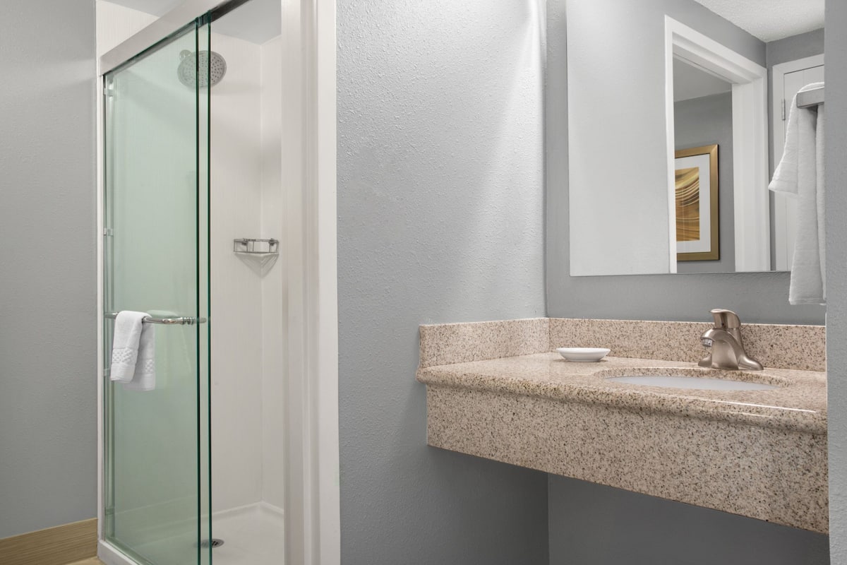 combined shower/bathtub, free toiletries, hair dryer, towels