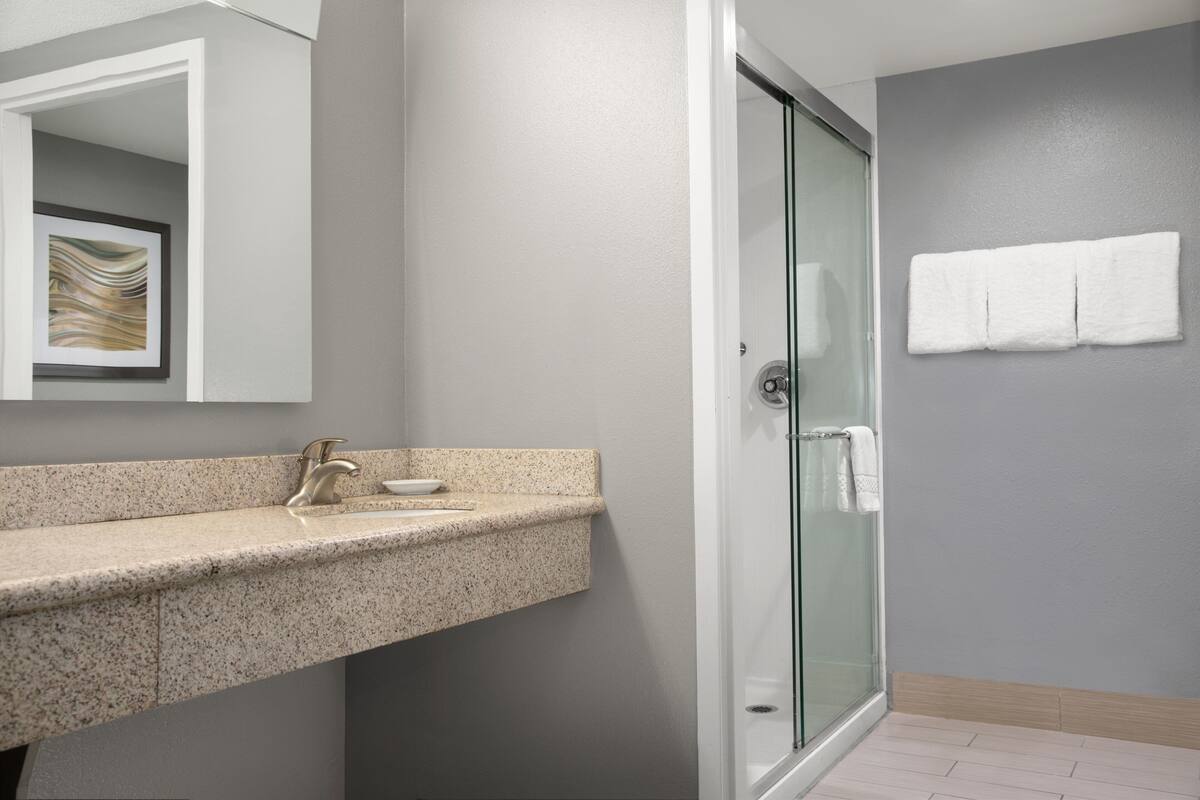 combined shower/bathtub, free toiletries, hair dryer, towels