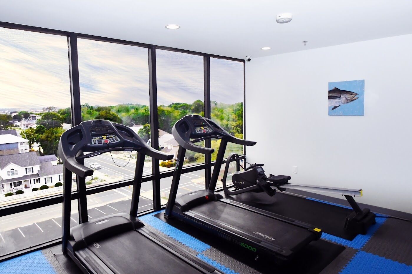 A gym with two treadmills and a rowing machine, large windows with a view of a residential area.