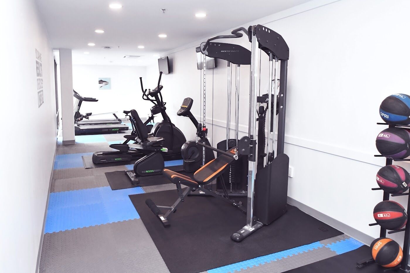 A gym with exercise equipment, a wall-mounted rack of balls, and a blue and gray floor.