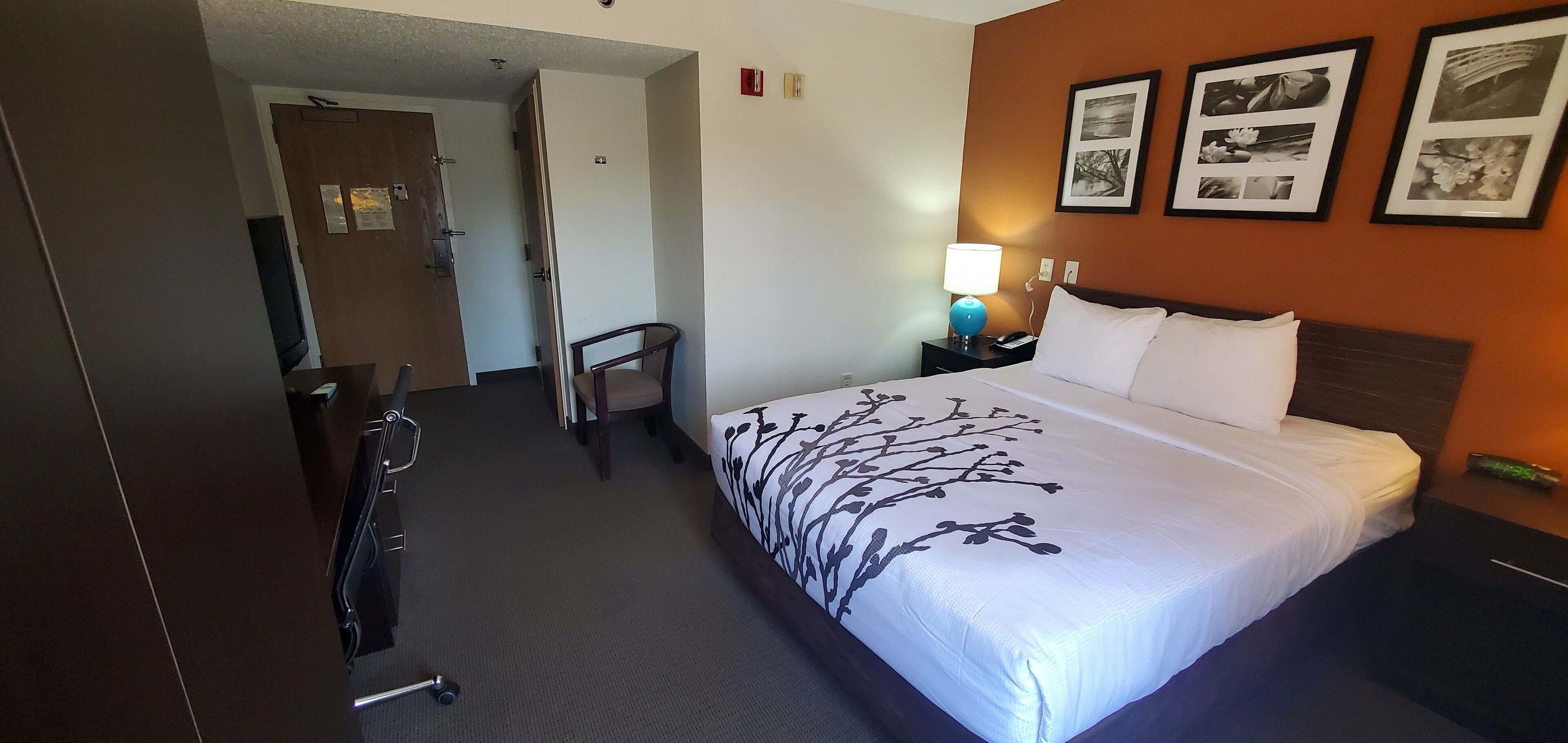 A hotel room with a bed, a chair, a desk, and a nightstand with a lamp.