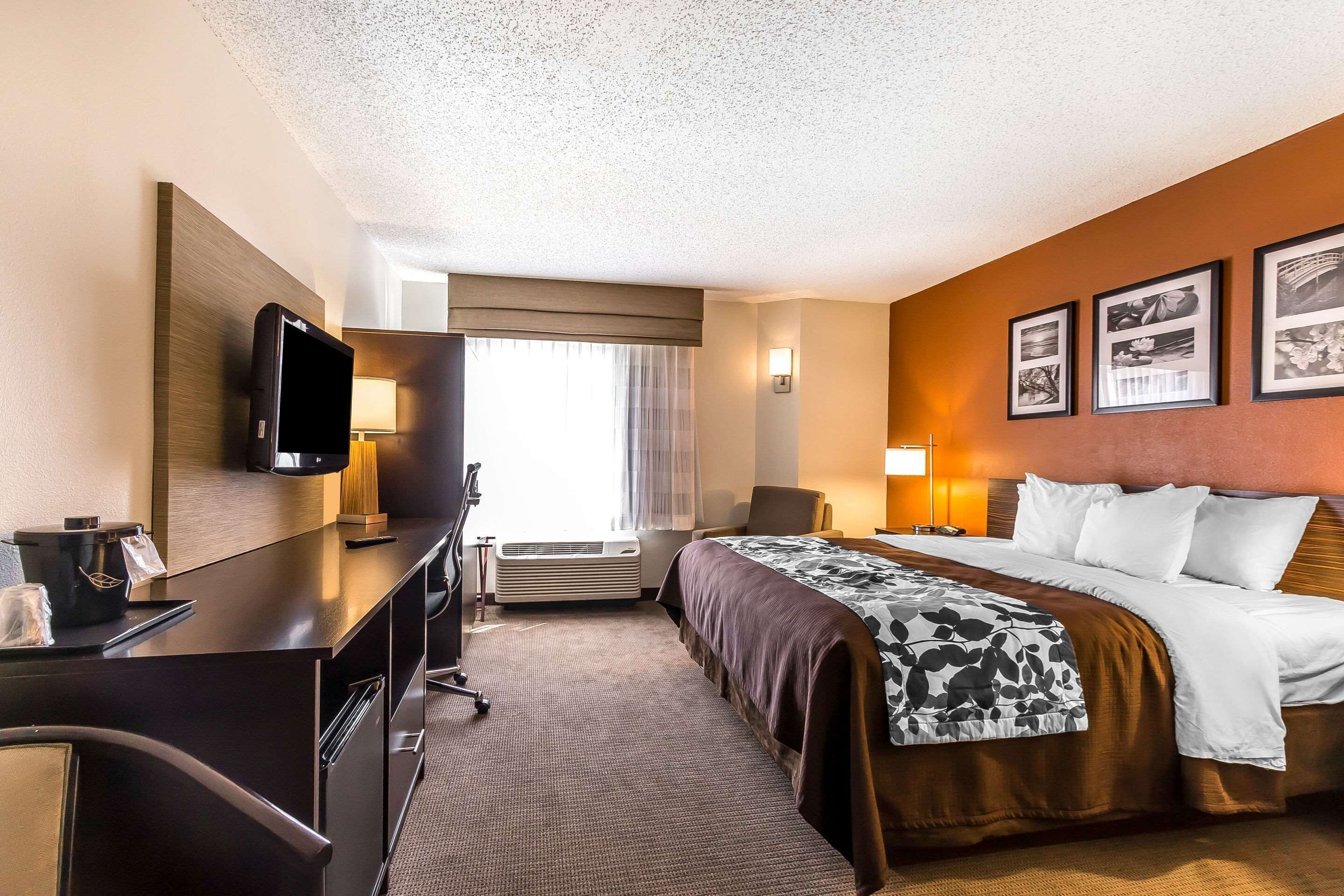 A hotel room with a bed, desk, TV, and wall-mounted artwork.