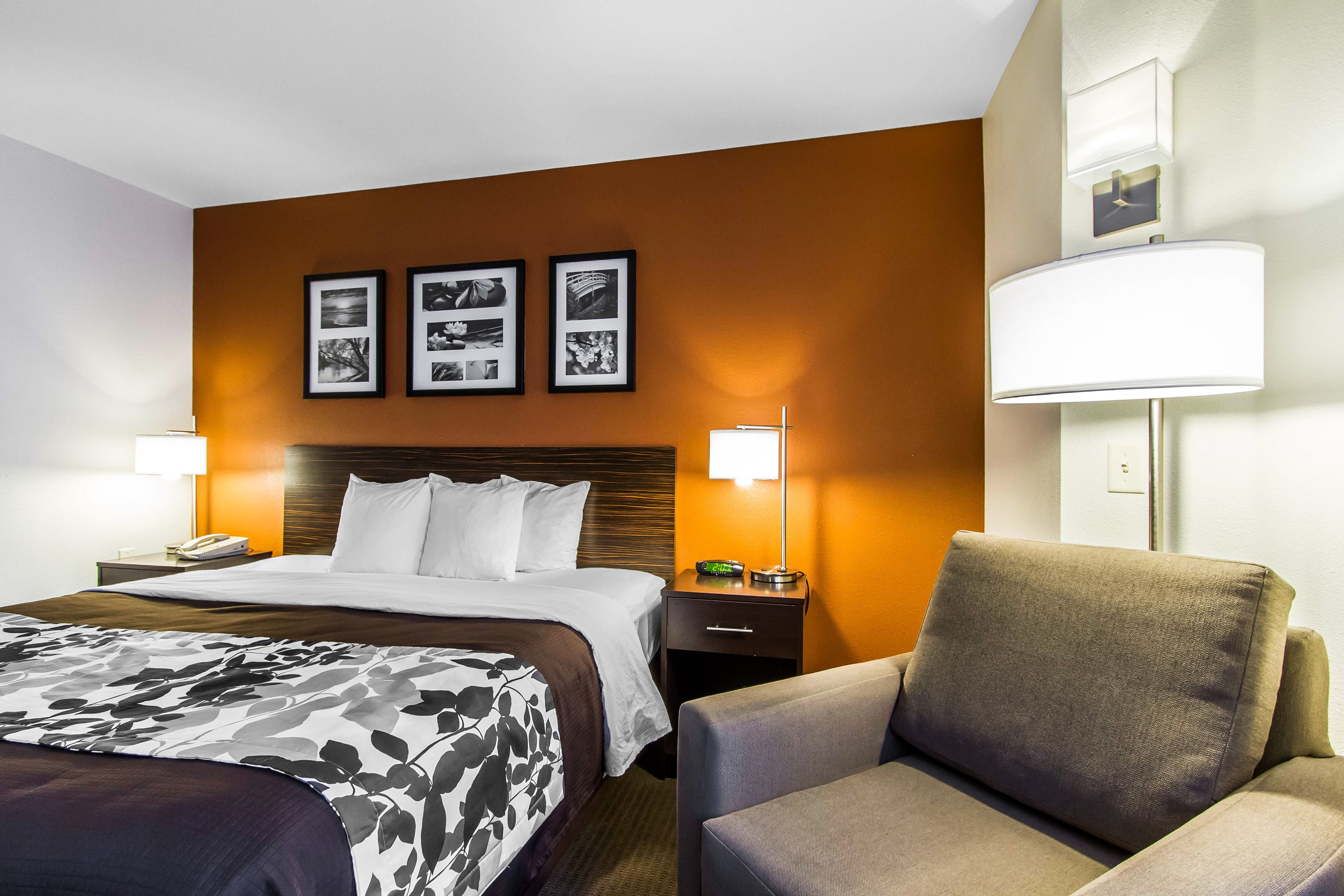 标准房, 1 张特大床, 无烟房 | 办公桌、遮光窗帘、熨斗/熨衣板、免费 WiFi