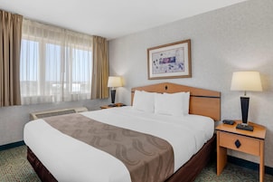 Una habitación de hotel con una cama grande, dos mesitas de noche con lámparas, una ventana con cortinas, un cuadro en la pared y suelo alfombrado.
