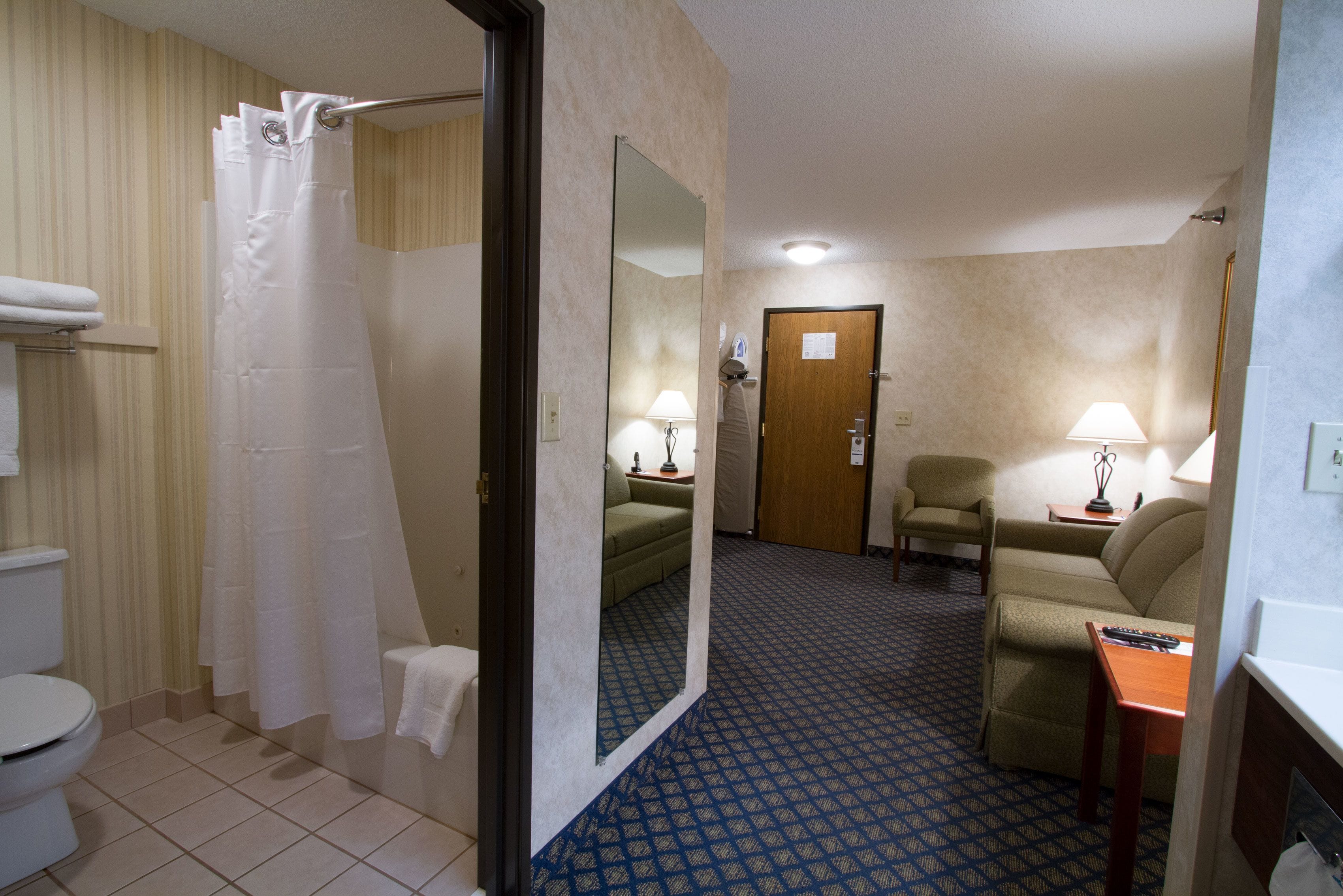 deluxe suite, 1 queen bed with sofa bed | bathroom | combined shower/bathtub, free toiletries, hair dryer, towels