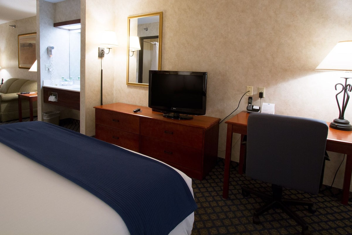 Deluxe Suite, 1 Queen Bed with Sofa bed | 1 bedroom, desk, blackout drapes, iron/ironing board