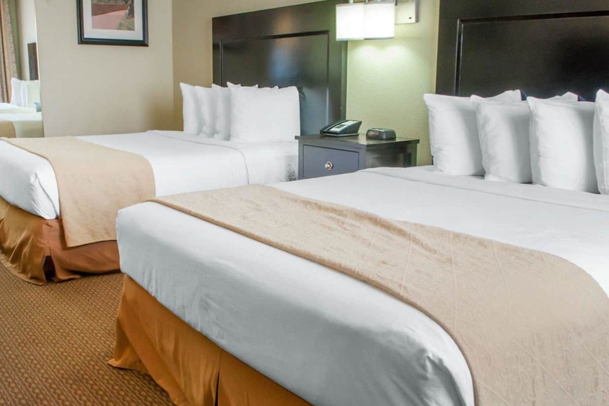Premium bedding, down comforters, iron/ironing board, free WiFi
