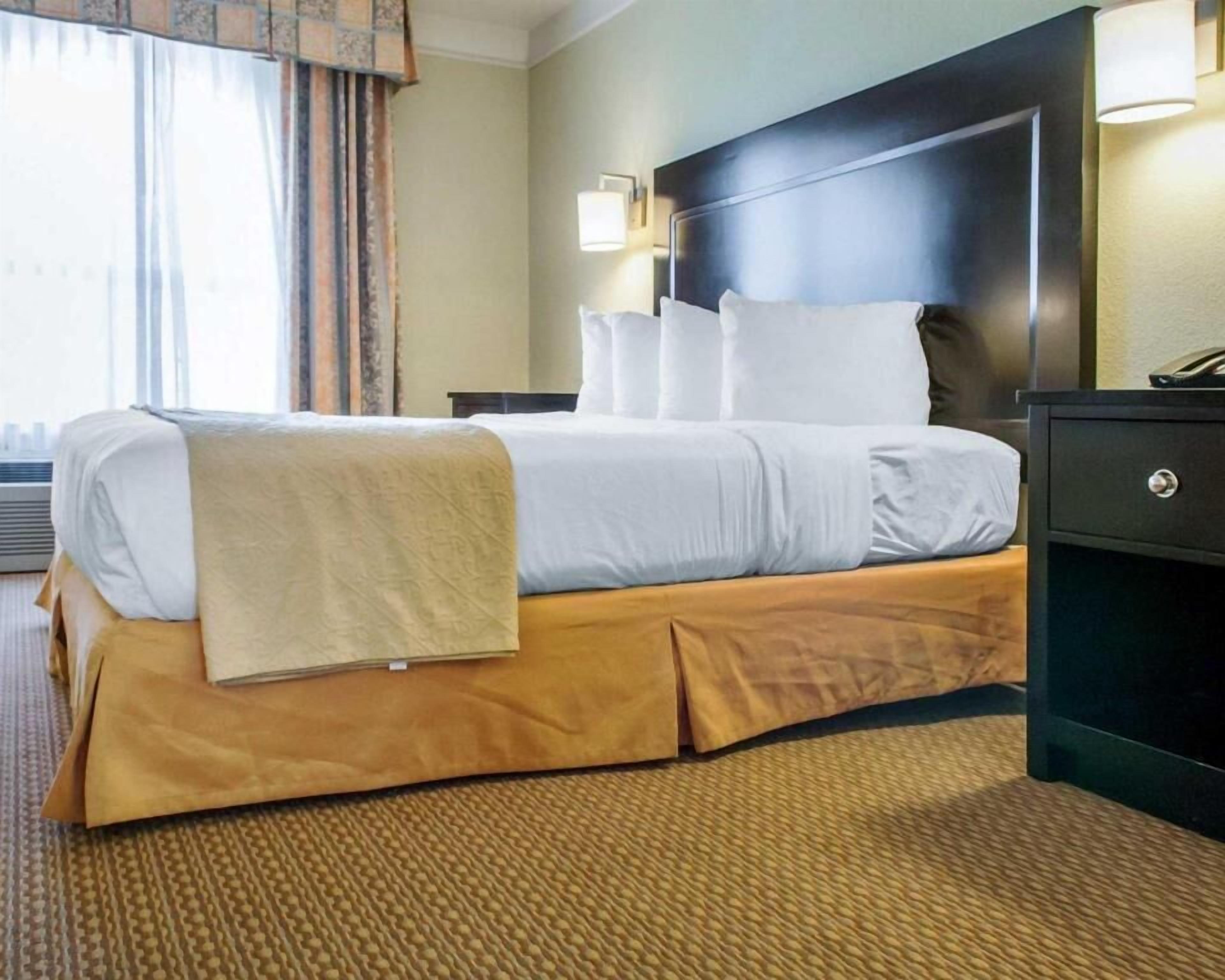 Premium bedding, down comforters, iron/ironing board, free WiFi